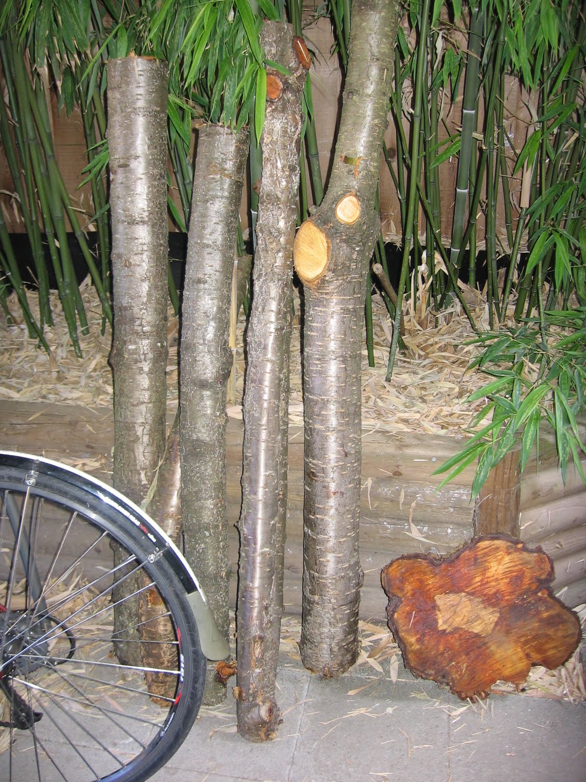 cherry tree wood plans